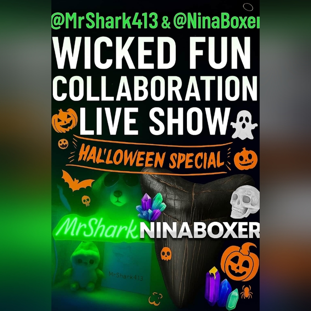 Shark n Ninas Wicked Fun Auction! 🦈🙂🐕 - Picture 2 of 5